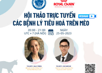 Hội thảo trực tuyến “Các bệnh lý tiêu hoá trên mèo”