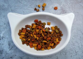 Khoá huấn luyện “Dinh dưỡng trên thú nhỏ”