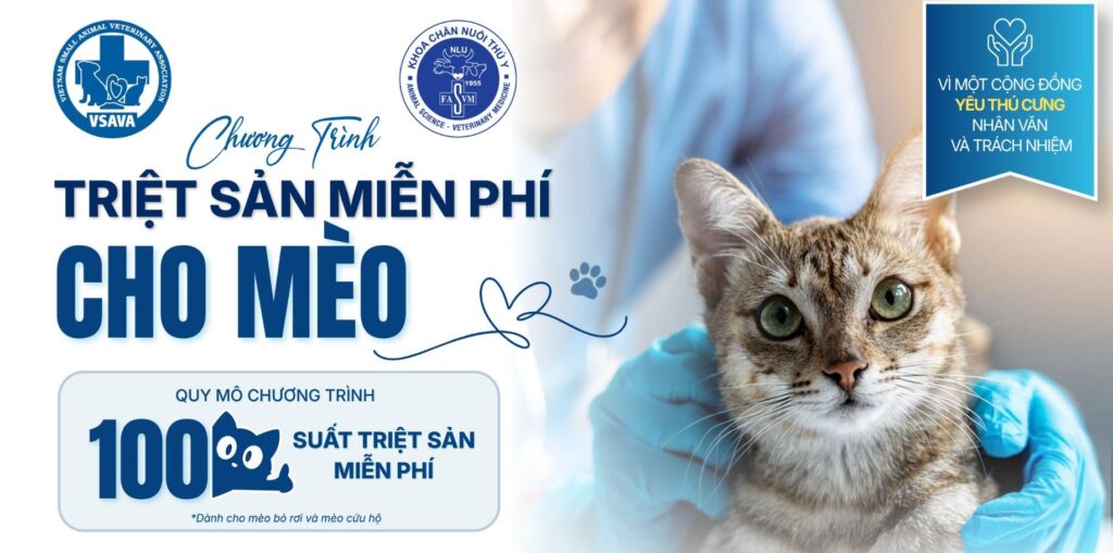triet-san-meo-2