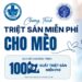 triet-san-meo-3